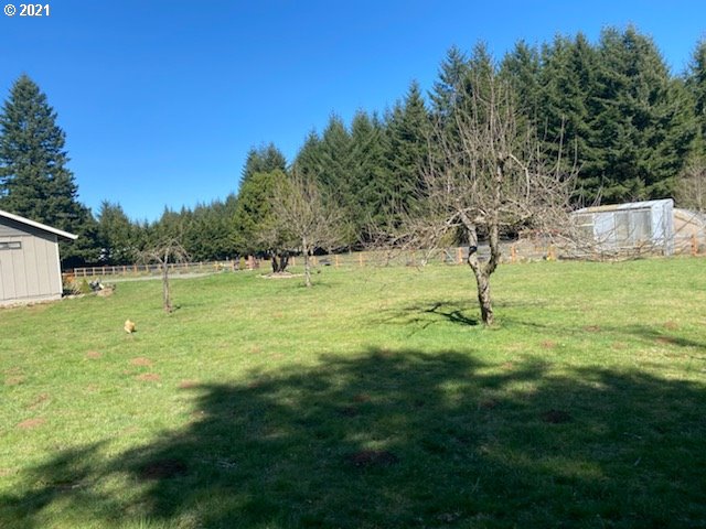 52 Harder Road Washougal, WA 98671 - Photo 6 of 22 Gallery Image 6