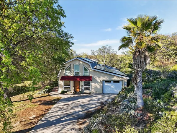 a picture of flowers