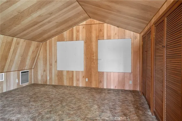 a large tree in the middle of forest