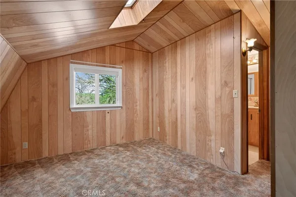 a view of a yard with plants and large trees