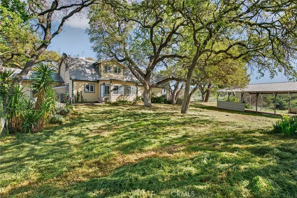a view of a garden with an trees
