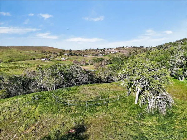 a view of a yard with a house and a large tree