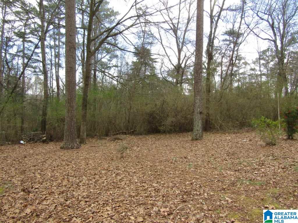 6077 Red Hollow Road Birmingham, AL 35215 - Photo 15 of 39
