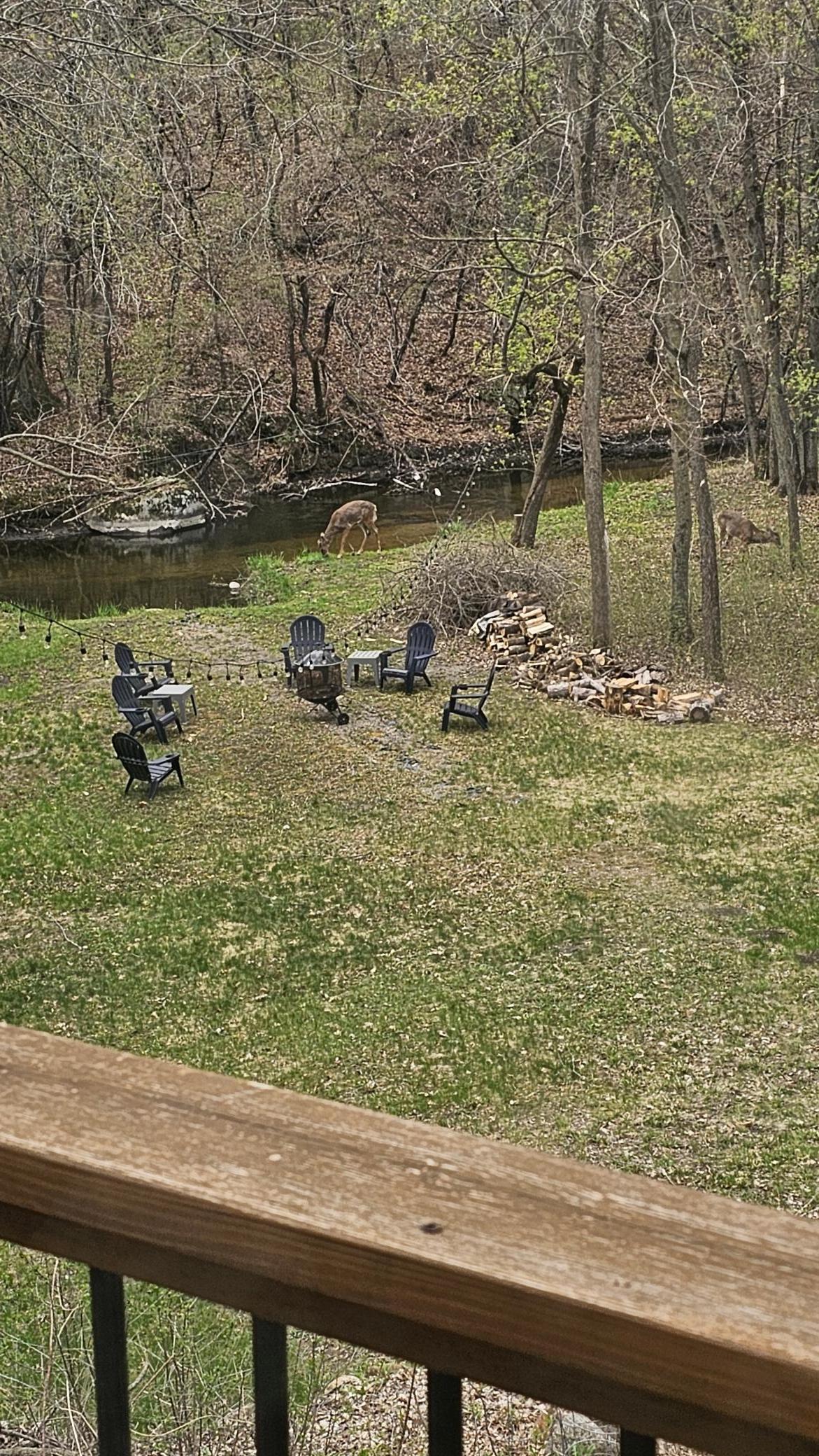 11709 Welters Way Eden Prairie, MN 55347 - Photo 76 of 86