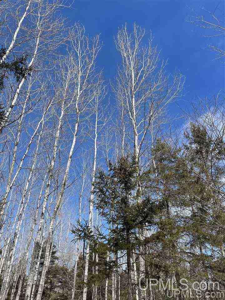 Tbd Tbd Co Road, Unit 1 Marquette, MI 49855 - Photo 32 of 50