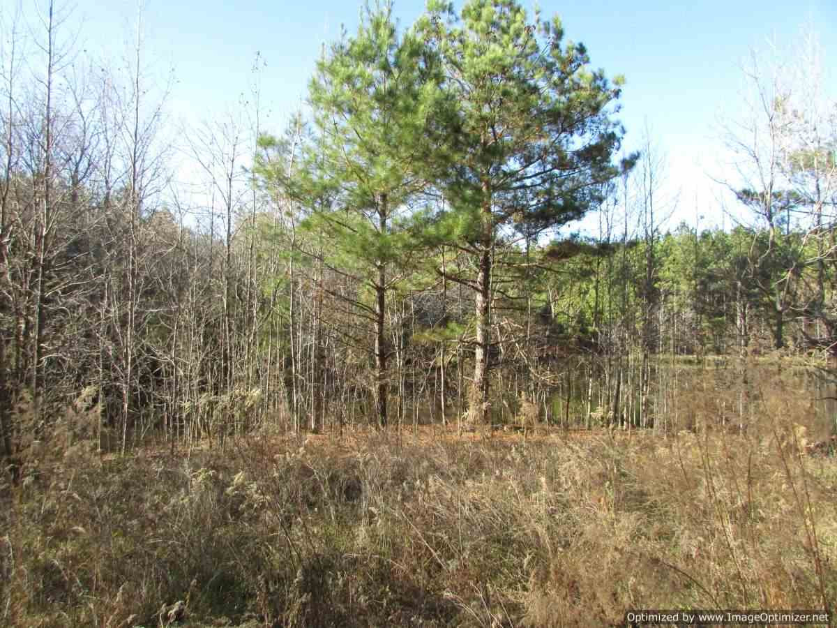 0 Stump Bridge Road Canton, MS 39046 - Photo 11 of 50 Photo 11