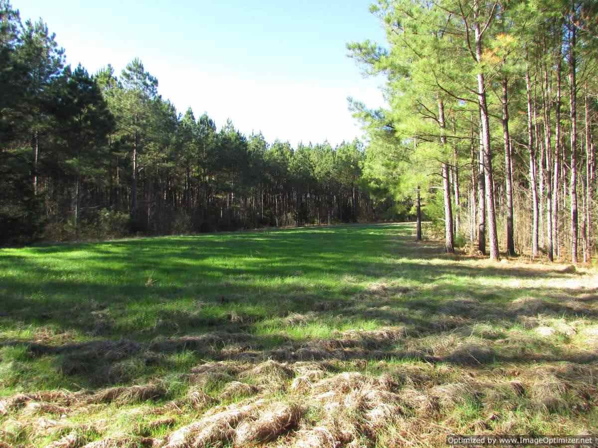 0 Stump Bridge Road Canton, MS 39046 - Photo 15 of 50 Photo 15