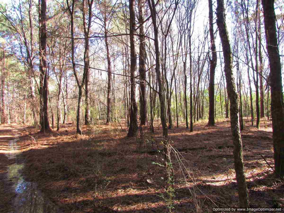 0 Stump Bridge Road Canton, MS 39046 - Photo 18 of 50 Photo 18