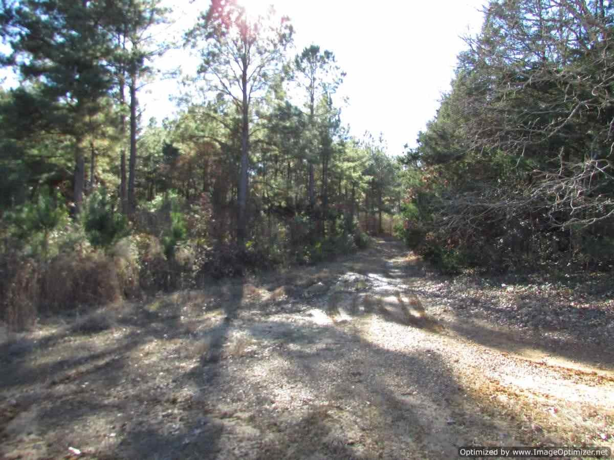 0 Stump Bridge Road Canton, MS 39046 - Photo 2 of 50 Photo 2