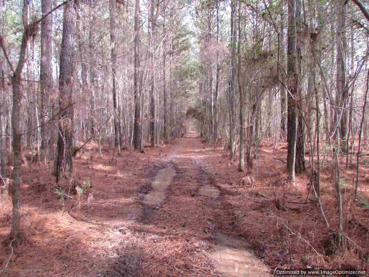 0 Stump Bridge Road Canton, MS 39046 - Photo 21 of 50 Photo 21