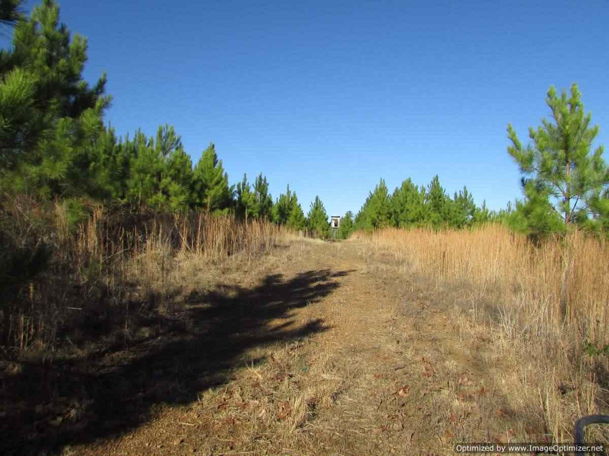 0 Stump Bridge Road Canton, MS 39046 - Photo 23 of 50 Photo 23