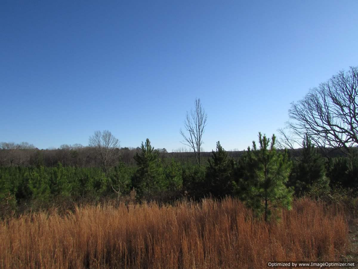 0 Stump Bridge Road Canton, MS 39046 - Photo 25 of 50 Photo 25