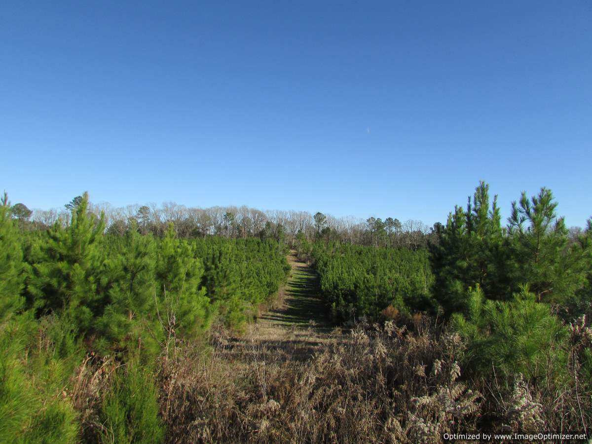 0 Stump Bridge Road Canton, MS 39046 - Photo 28 of 50 Photo 28