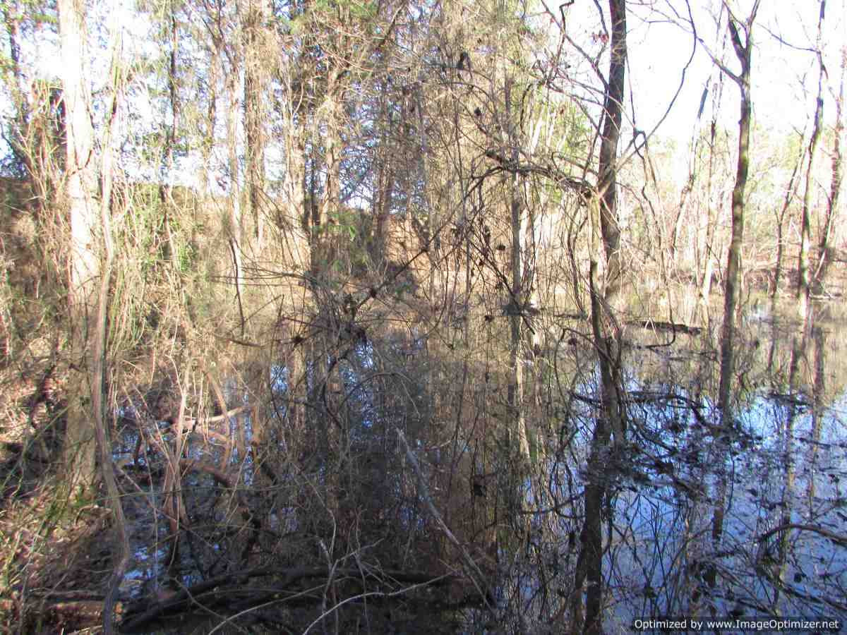 0 Stump Bridge Road Canton, MS 39046 - Photo 30 of 50 Photo 30