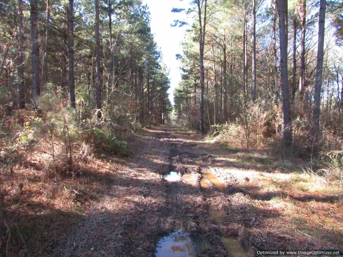 0 Stump Bridge Road Canton, MS 39046 - Photo 3 of 50 Photo 3