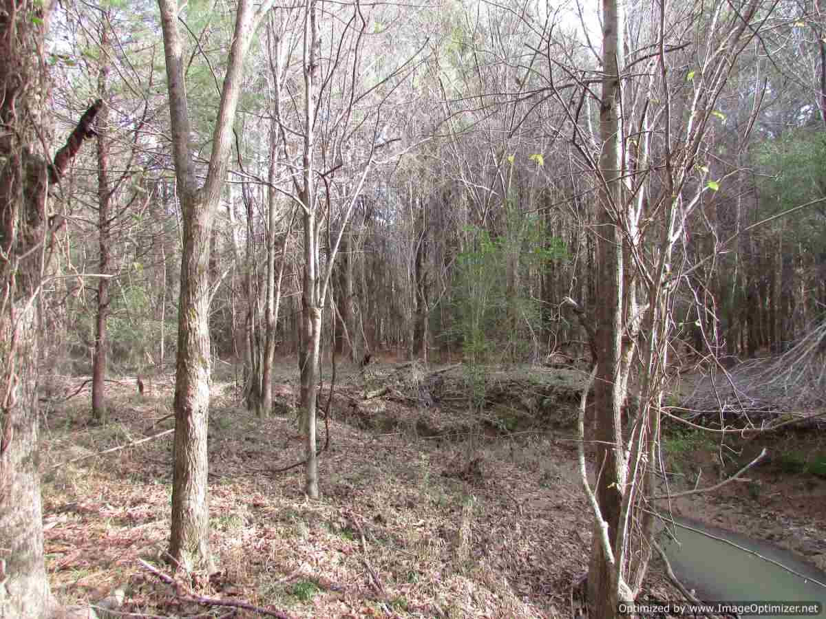 0 Stump Bridge Road Canton, MS 39046 - Photo 39 of 50 Photo 39