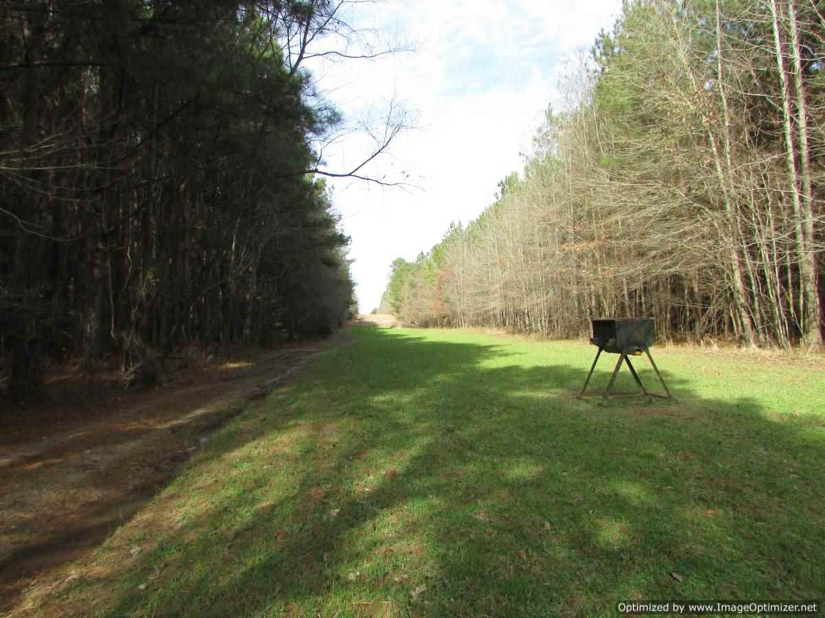 0 Stump Bridge Road Canton, MS 39046 - Photo 41 of 50 Photo 41