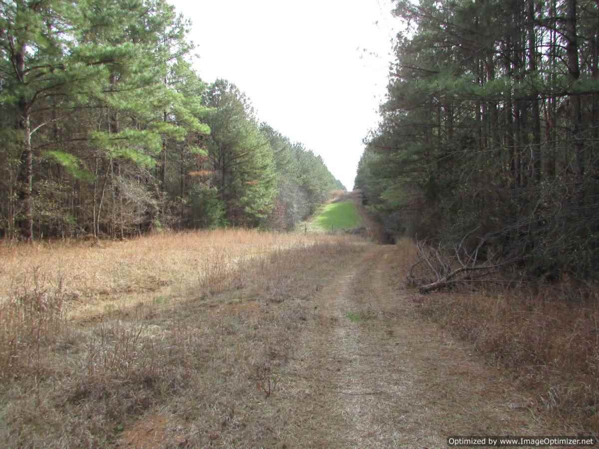 0 Stump Bridge Road Canton, MS 39046 - Photo 42 of 50 Photo 42