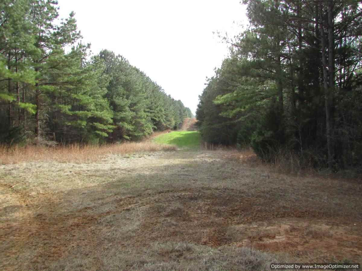 0 Stump Bridge Road Canton, MS 39046 - Photo 44 of 50 Photo 44