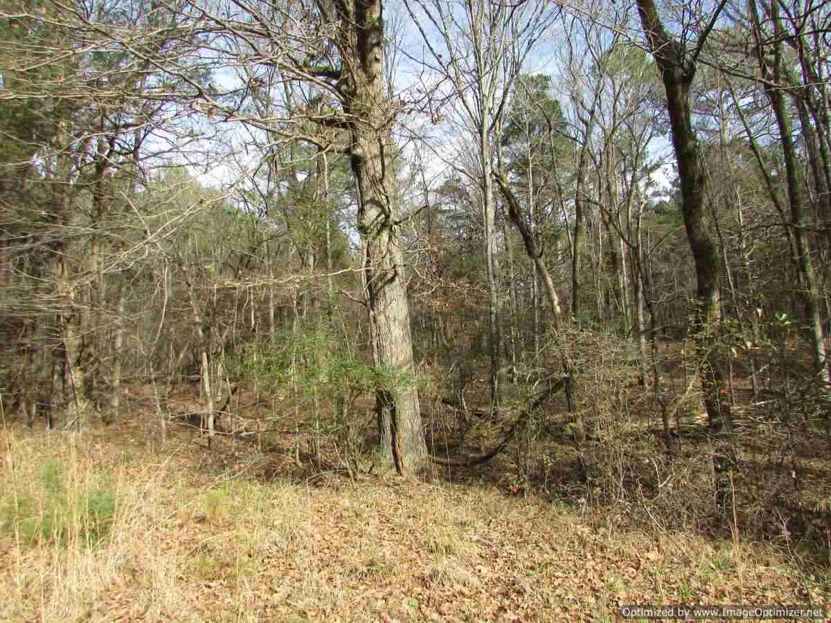 0 Stump Bridge Road Canton, MS 39046 - Photo 45 of 50 Photo 45
