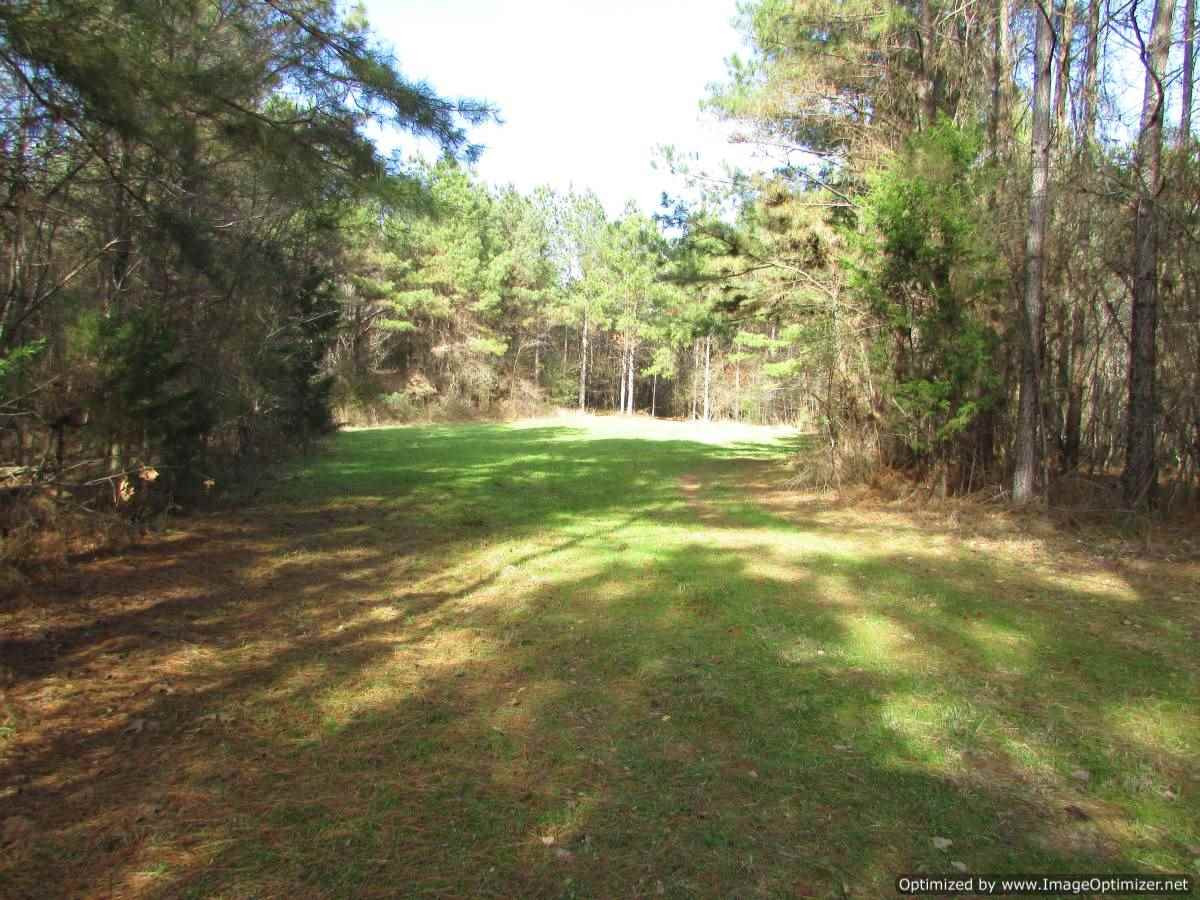0 Stump Bridge Road Canton, MS 39046 - Photo 49 of 50 Photo 49