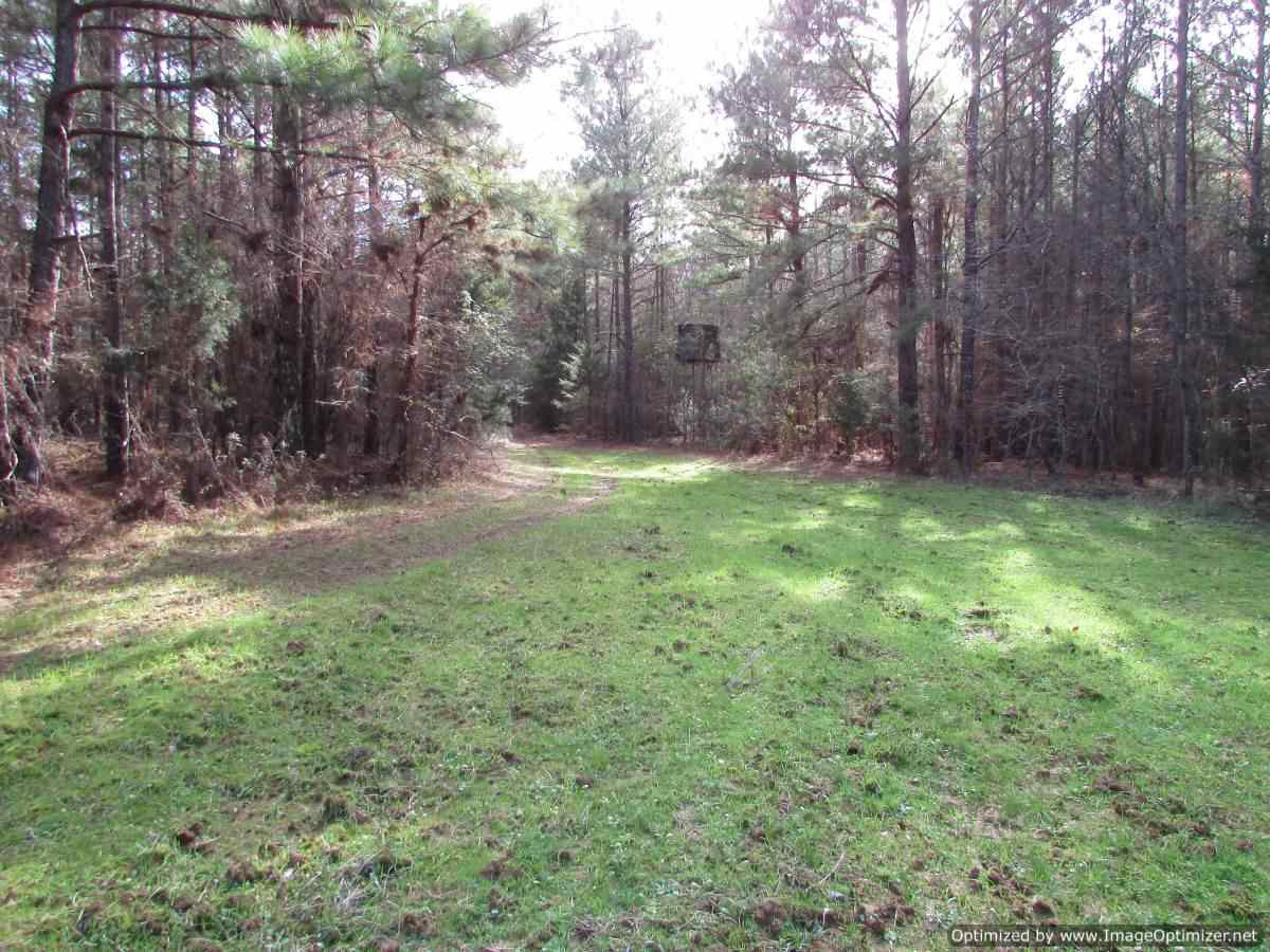0 Stump Bridge Road Canton, MS 39046 - Photo 50 of 50 Photo 50