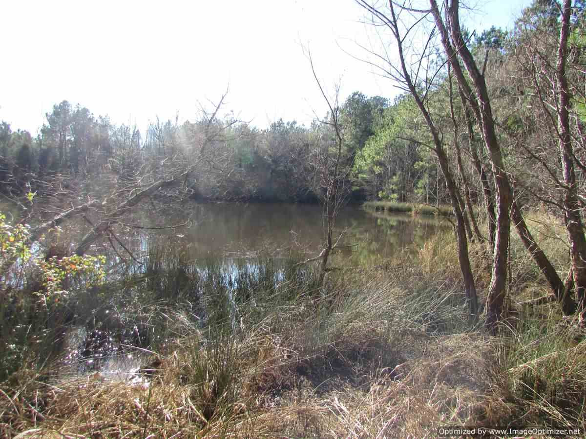 0 Stump Bridge Road Canton, MS 39046 - Photo 8 of 50 Photo 8