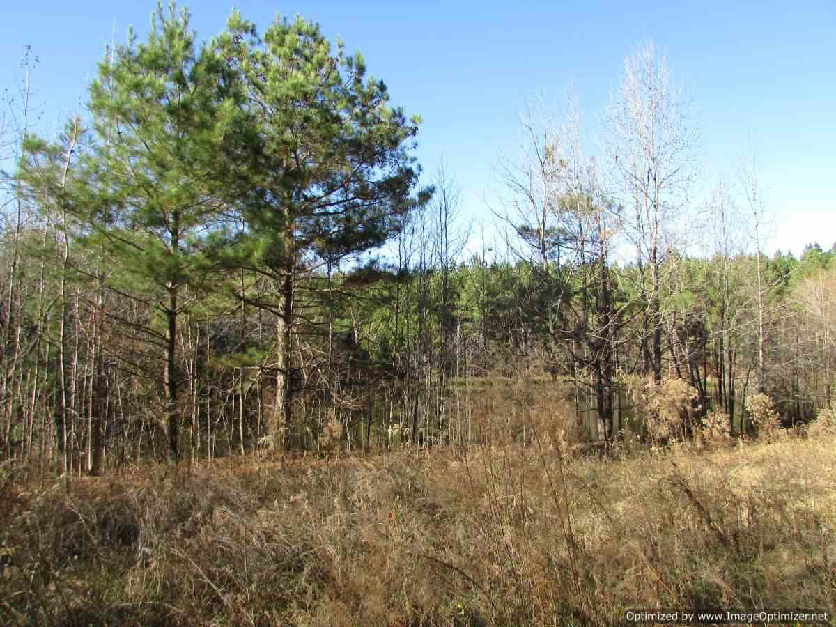 0 Stump Bridge Road Canton, MS 39046 - Photo 9 of 50 Photo 9