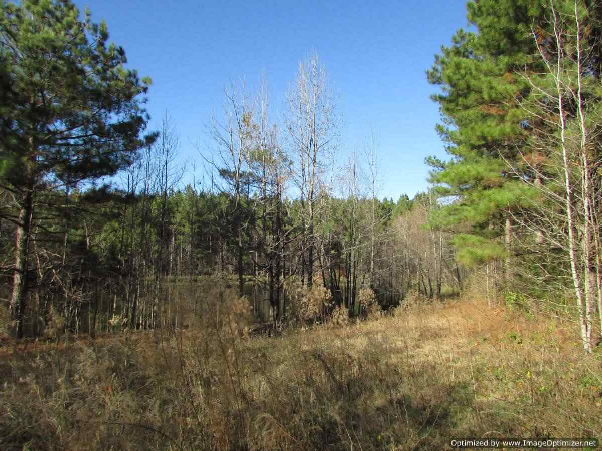 0 Stump Bridge Road Canton, MS 39046 - Photo 10 of 50 Photo 10