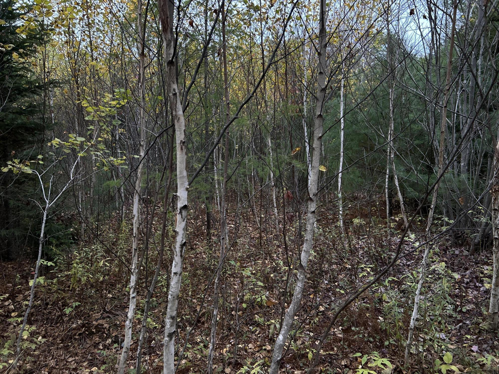 401 Genthner Road Waldoboro, ME 04572 - Photo 16 of 35