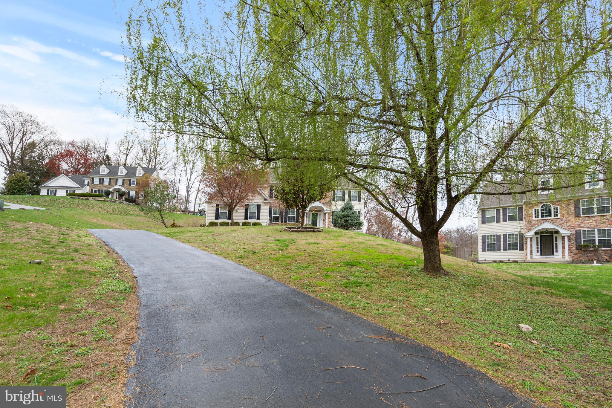 776 Barry Drive Springfield, PA 19064 - Photo 44 of 44 a view of a yard with plants and trees