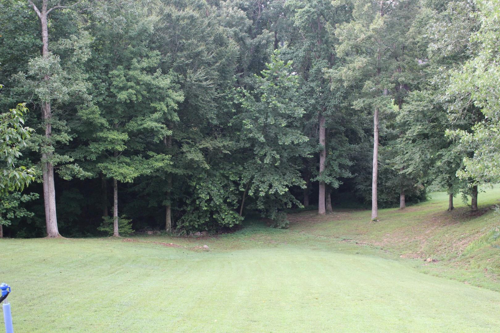 220 Wynns Ferry Road Dover, TN 37058 - Photo 5 of 17 Gallery Image 5