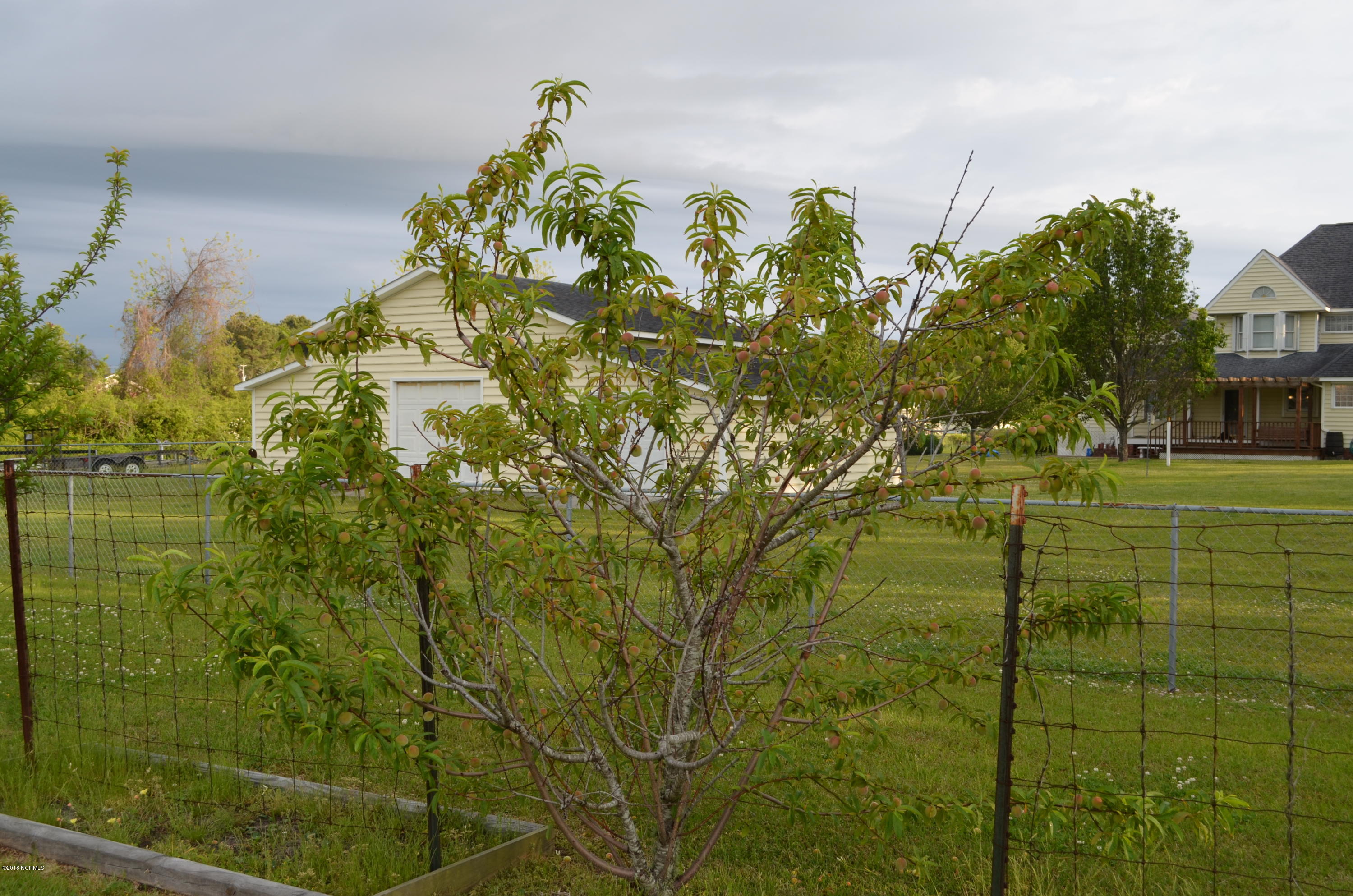 167 Piver Road Beaufort, NC 28516 - Photo 33 of 36 DSC_0568