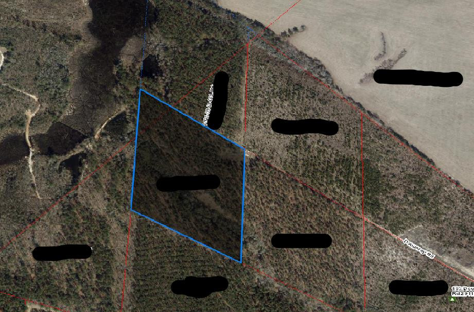 0 Salley Road North, SC 29112 - Photo 2 of 2 Photo 2