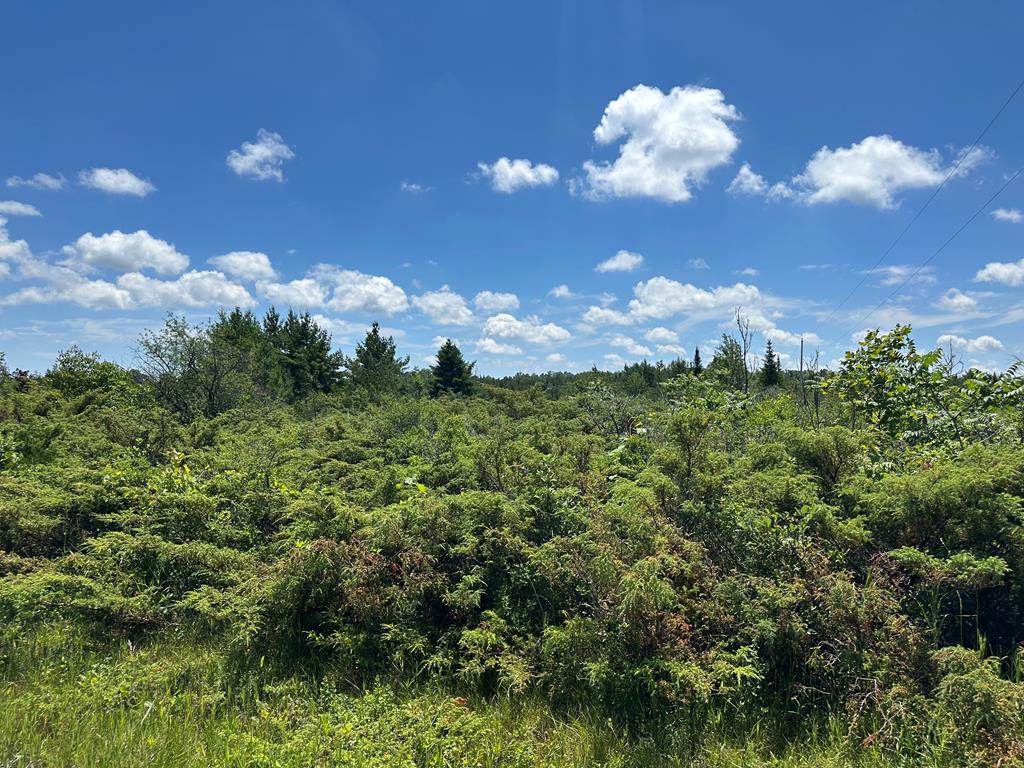 Lot #1 Cedar Ridge Road Baileys Harbor, WI 54202 - Photo 1 of 5 Main View