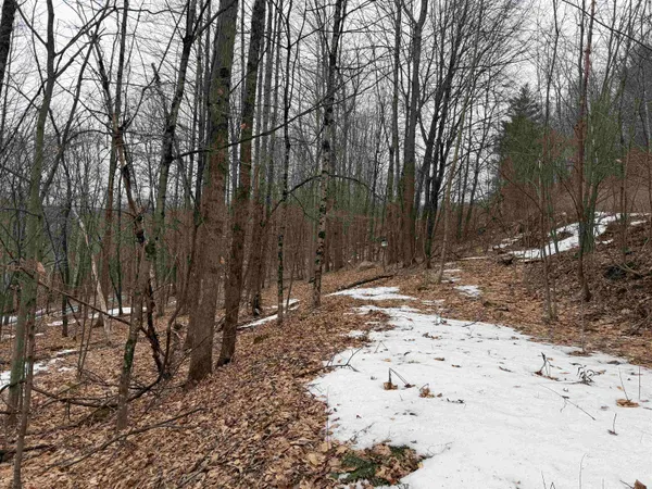 $15,000 | 194 Mine Road, Strafford, VT 05070