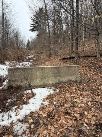 $15,000 | 194 Mine Road, Strafford, VT 05070
