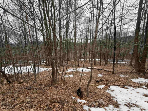 $15,000 | 194 Mine Road, Strafford, VT 05070