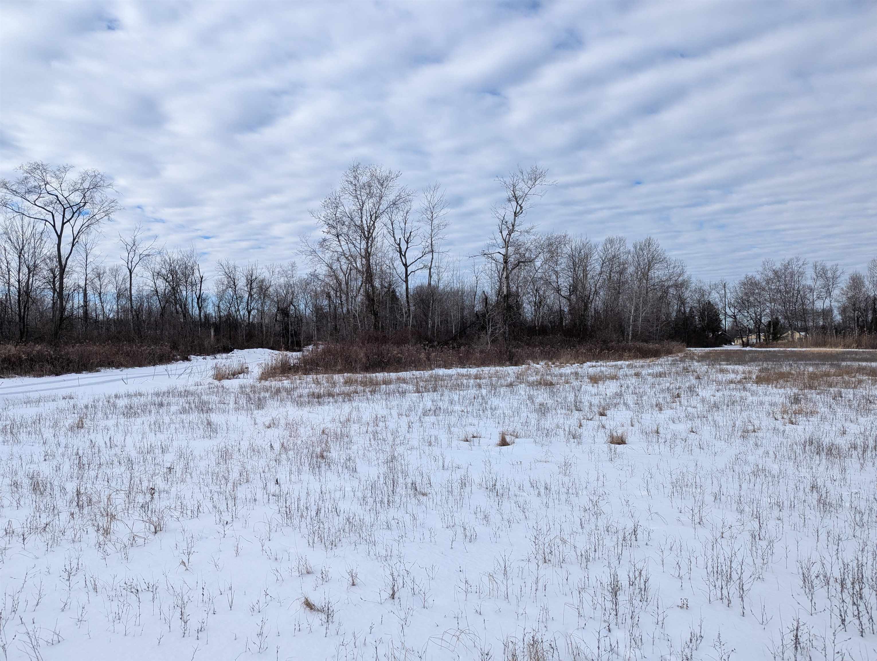 N/a Swenson Road Au Gres, MI 48703 - Photo 11 of 15