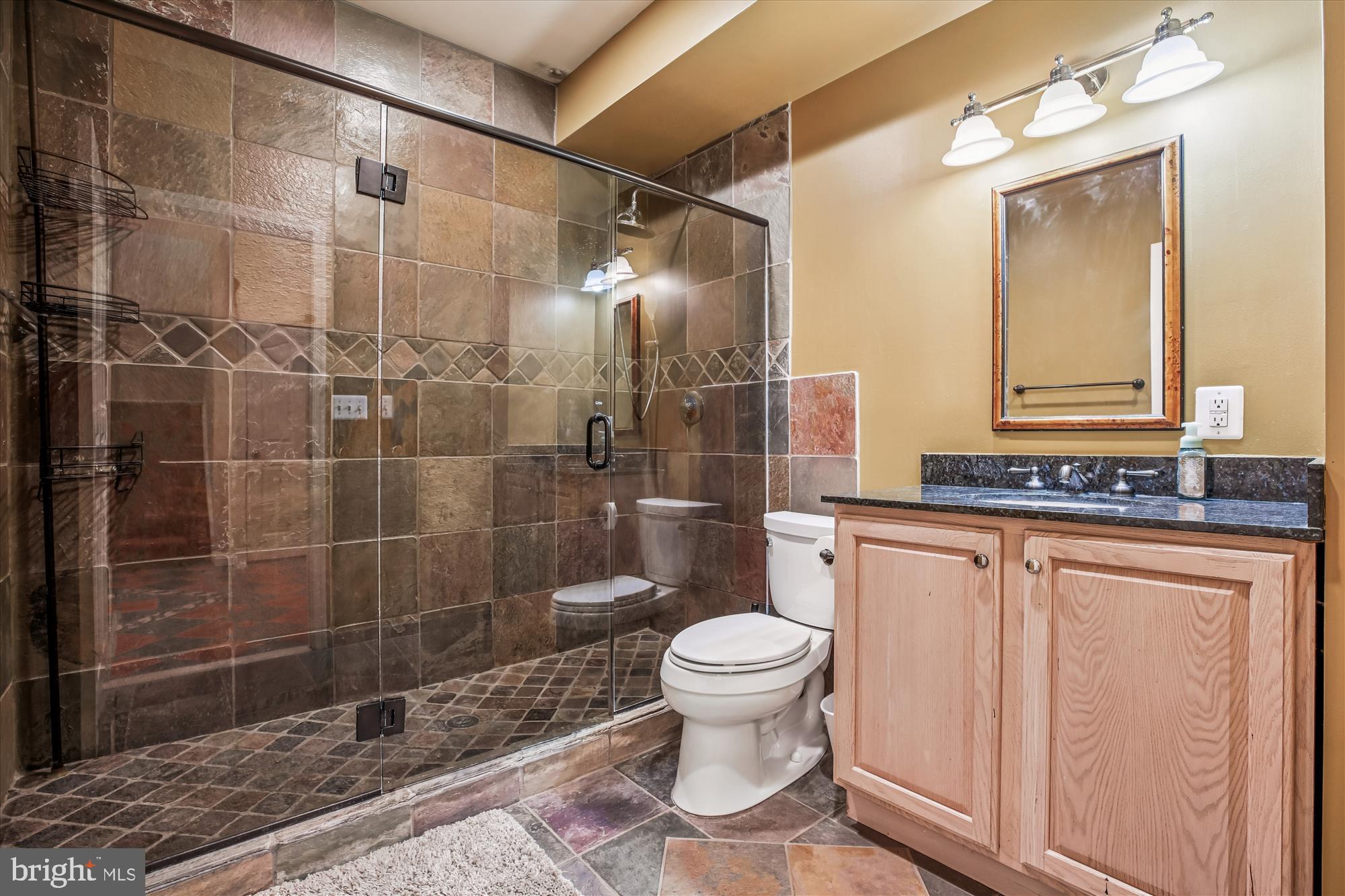 14212 Schaeffer Road Germantown, MD 20874 - Photo 44 of 51 Luxury lower level Full bath wi frameless shower