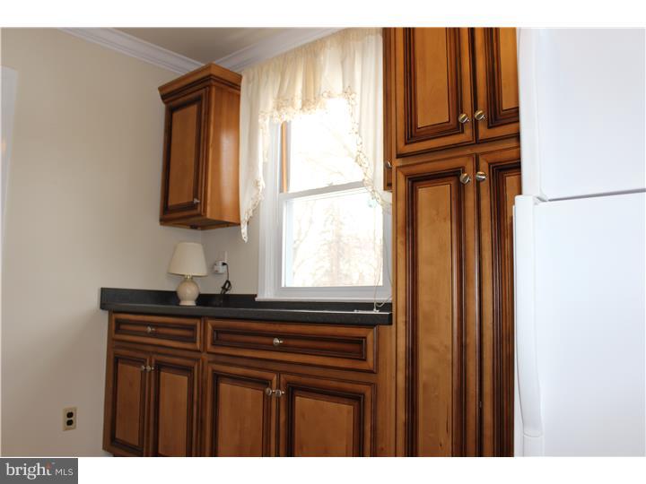 105 Crump Road Exton, PA 19341 - Photo 10 of 20 Laundry Room