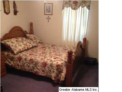 2989 Owens Road Ashland, AL 36251 - Photo 6 of 6