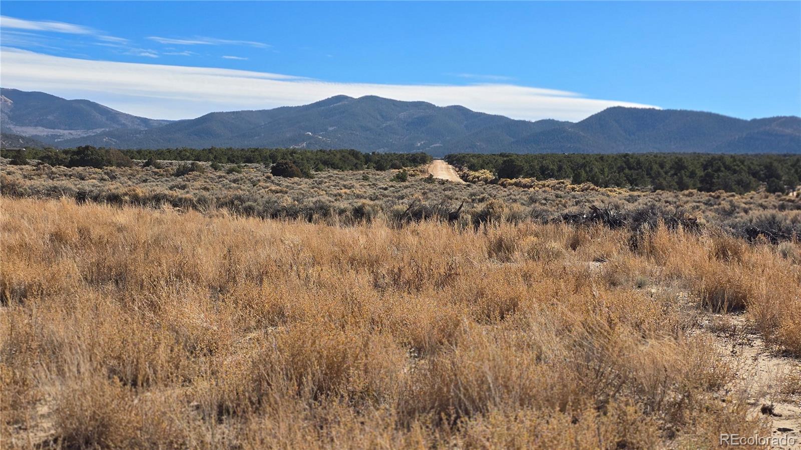 Lot 1768 Bateman Road Fort Garland, CO 81133 - Photo 4 of 30 Gallery Image 4