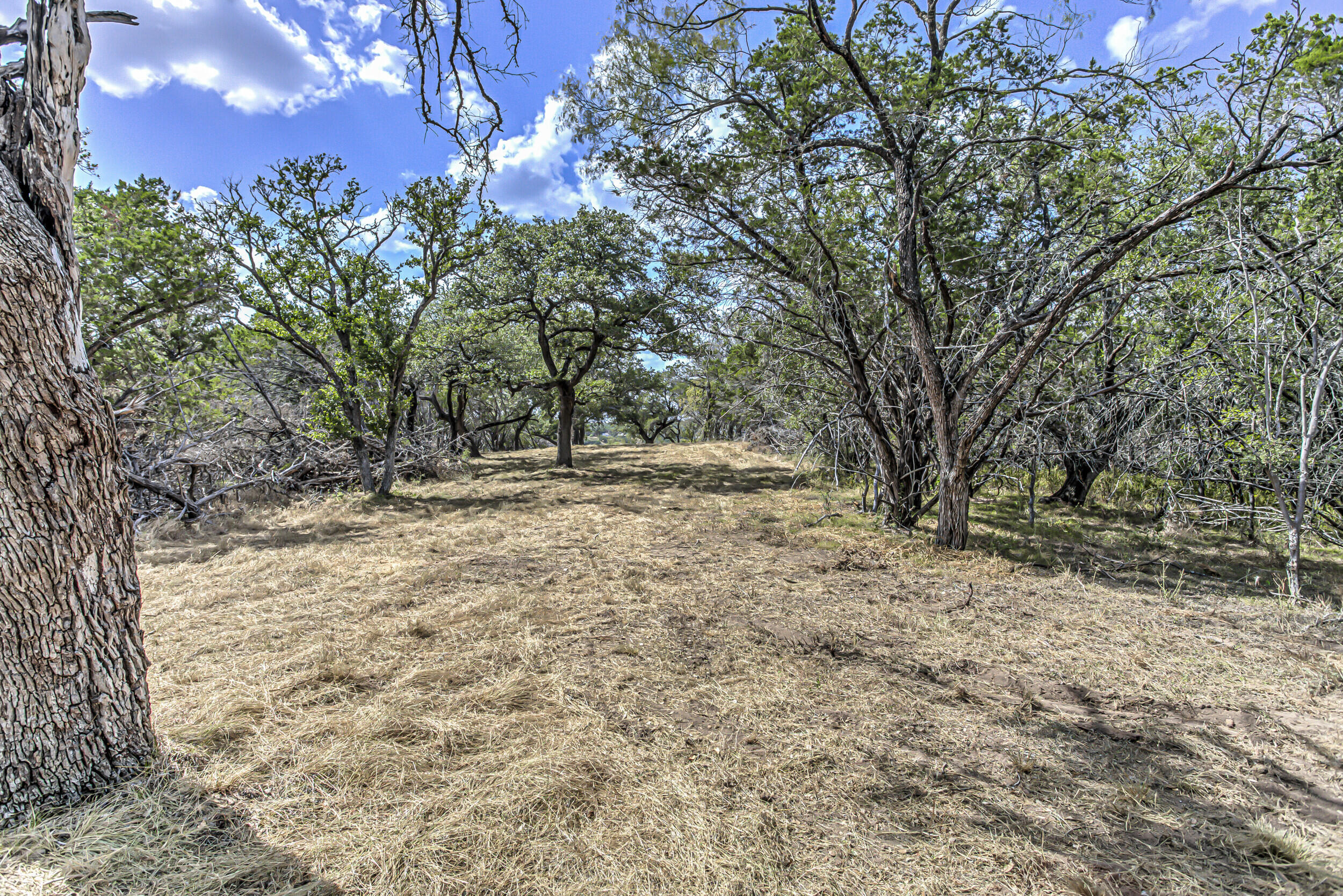 920 Boulting House Road Marble Falls, TX 78654 - Photo 7 of 43 5 acre 1