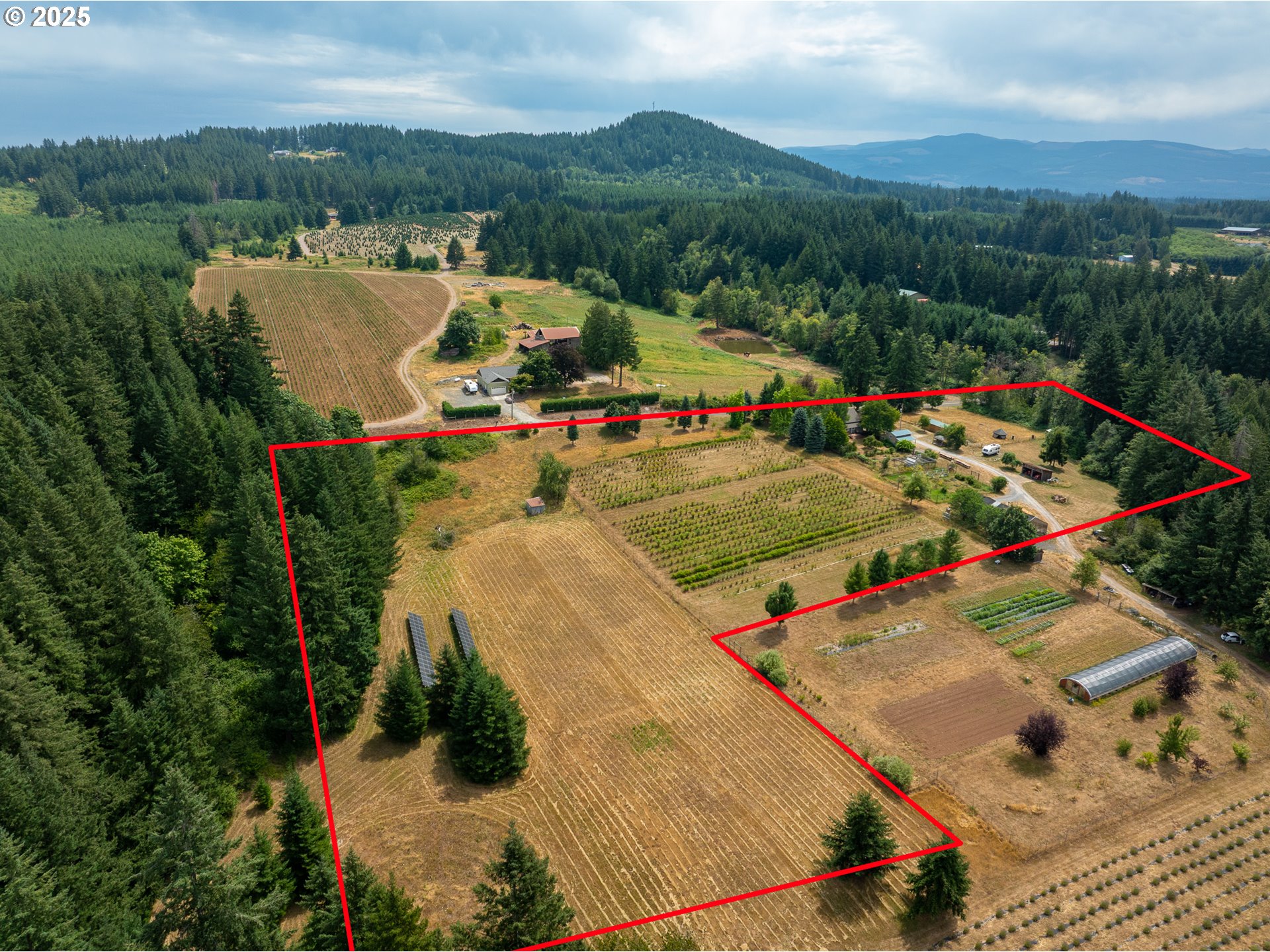 25113 South Ridge Road Beavercreek, OR 97004 - Photo 4 of 43