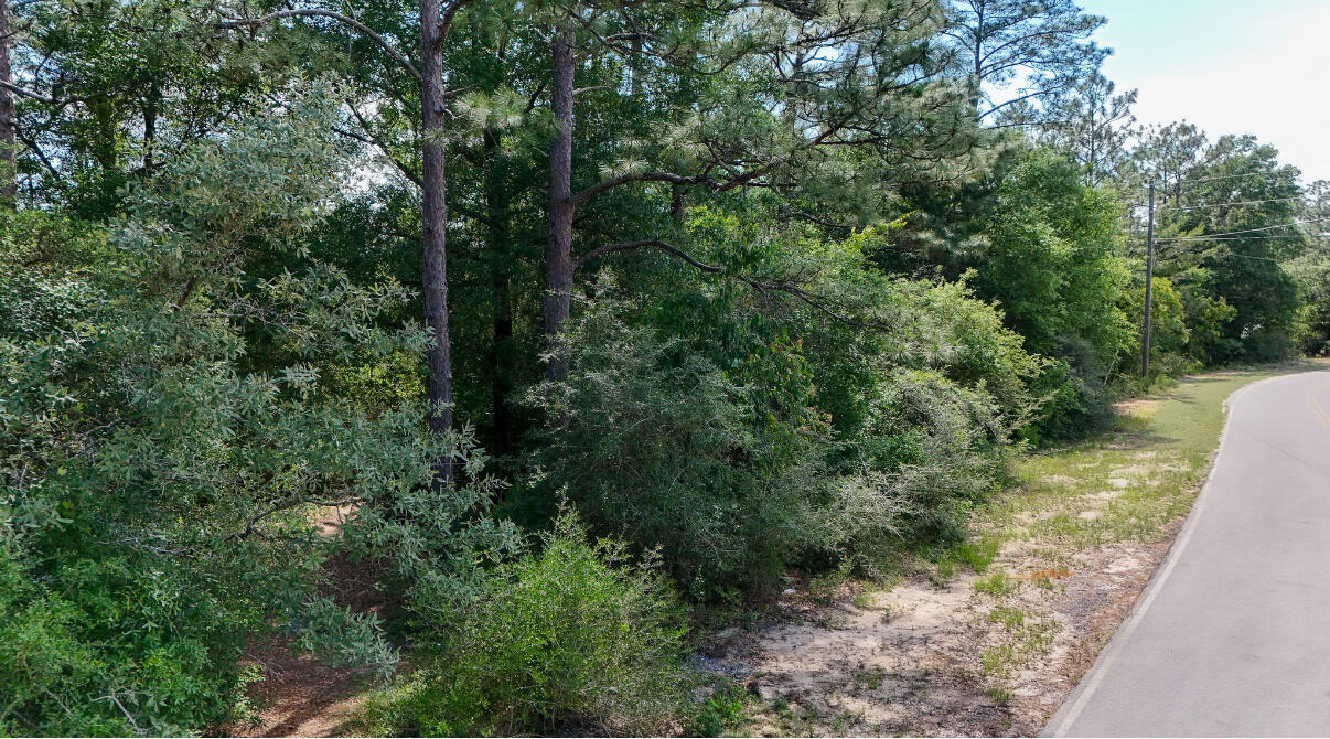 Tbd Brookside Drive DeFuniak Springs, FL 32433 - Photo 1 of 6 a view of a forest filled with trees