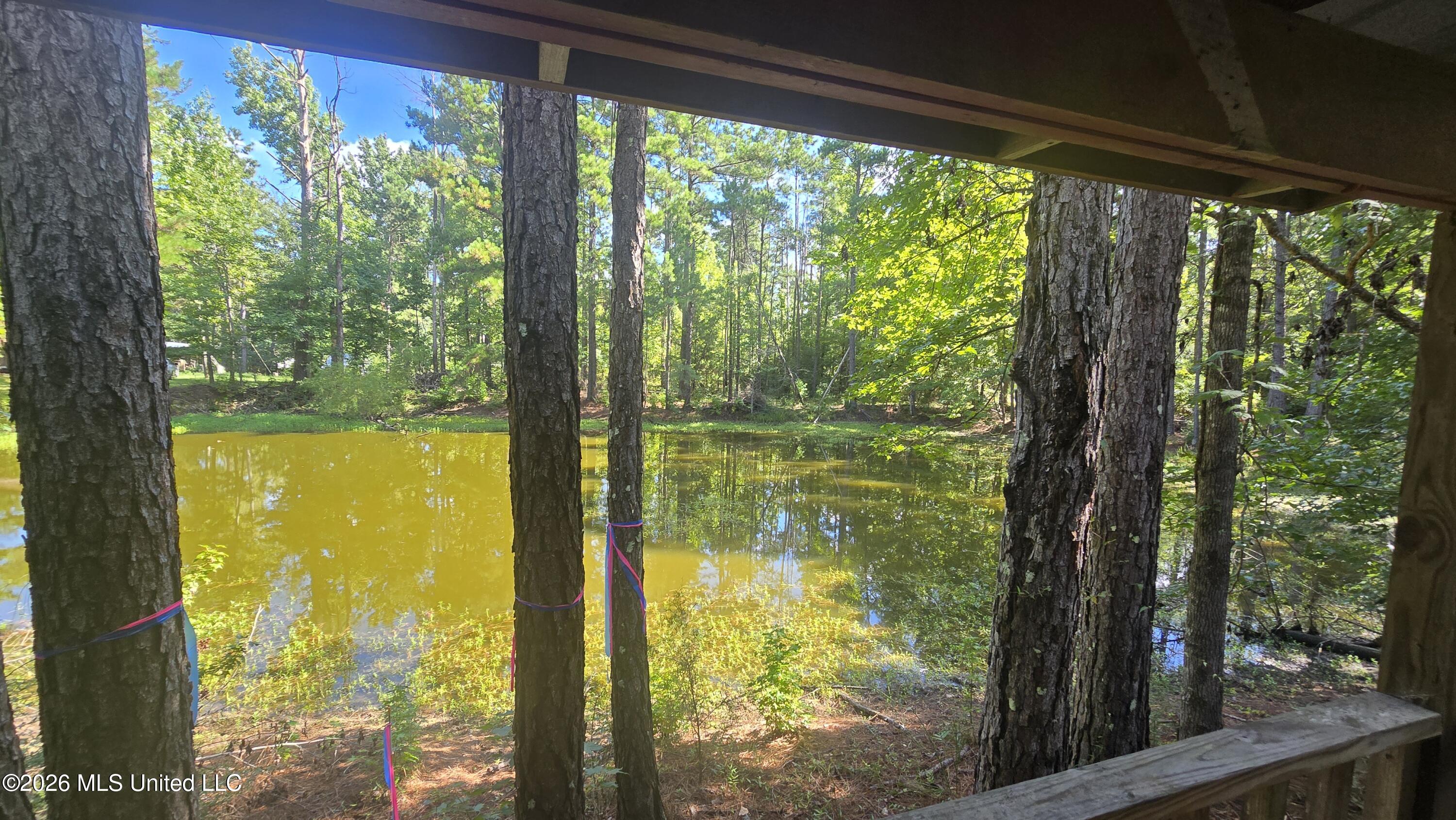 3190 Northeast Quentin Tower Road McCall Creek, MS 39647 - Photo 6 of 33 20260811_100402