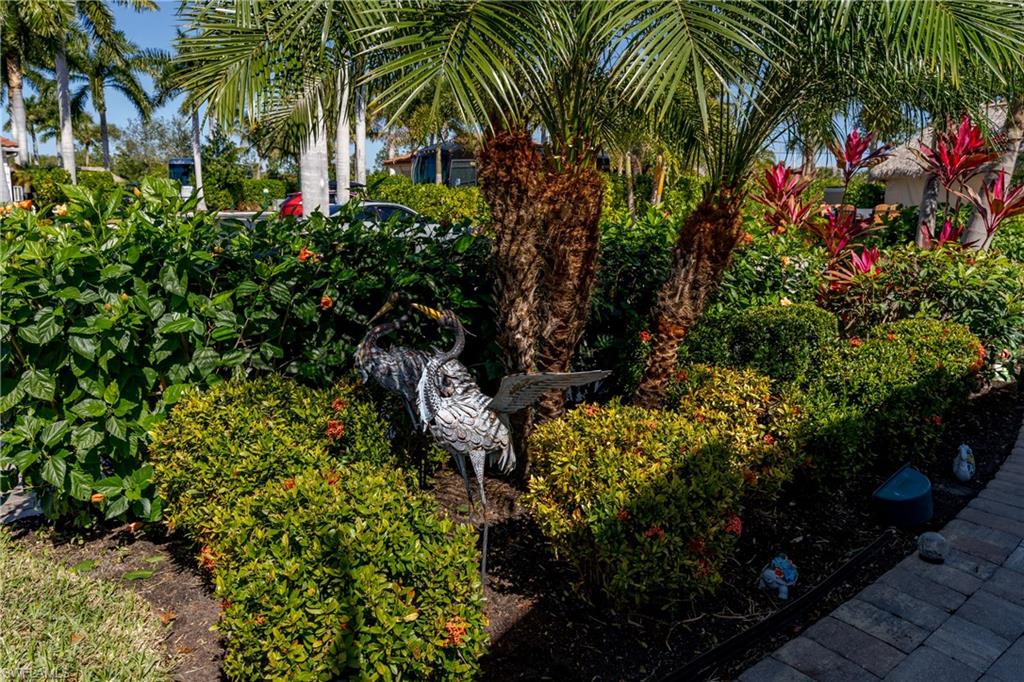13583 Snook Circle Naples, FL 34114 - Photo 14 of 47 a plant that is in front of flowers