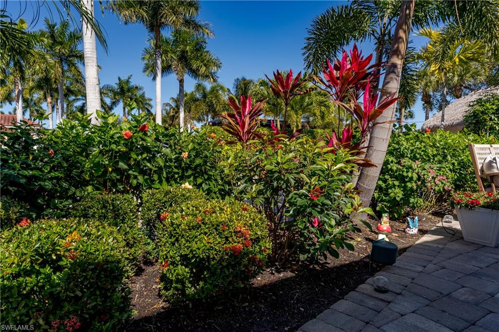 13583 Snook Circle Naples, FL 34114 - Photo 15 of 47 a view of a flower in a garden