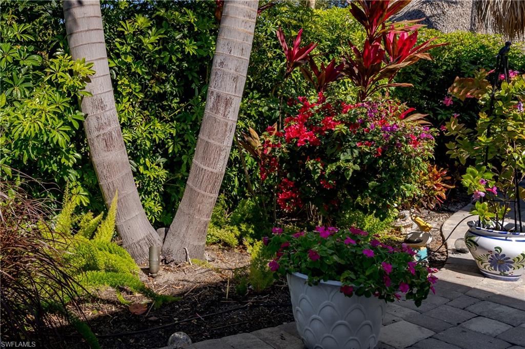 13583 Snook Circle Naples, FL 34114 - Photo 16 of 47 a bunch of flowers in a pots